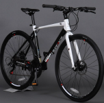 하이브리드 자전거