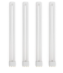 삼파장 형광램프 36W