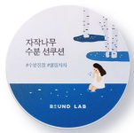 선쿠션